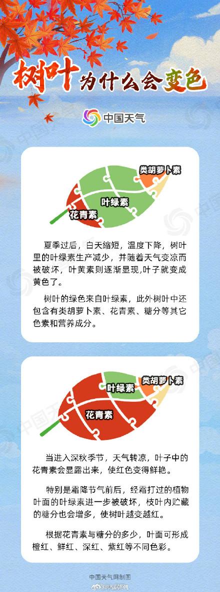 赏红正当时！京津冀等地红叶最佳观赏期即将开启