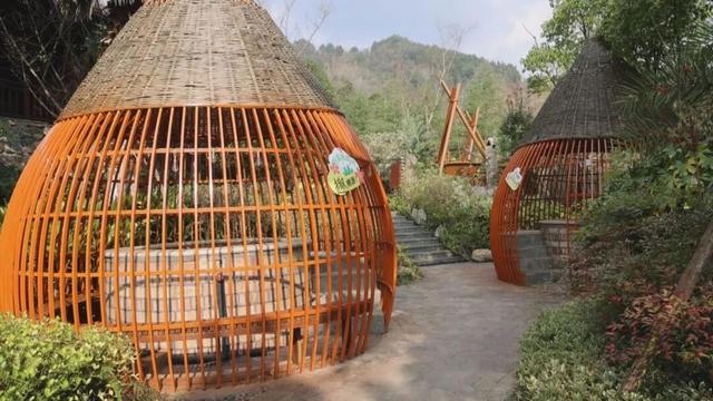 特色体验引客来!修文:温泉冬季旅游火热开启