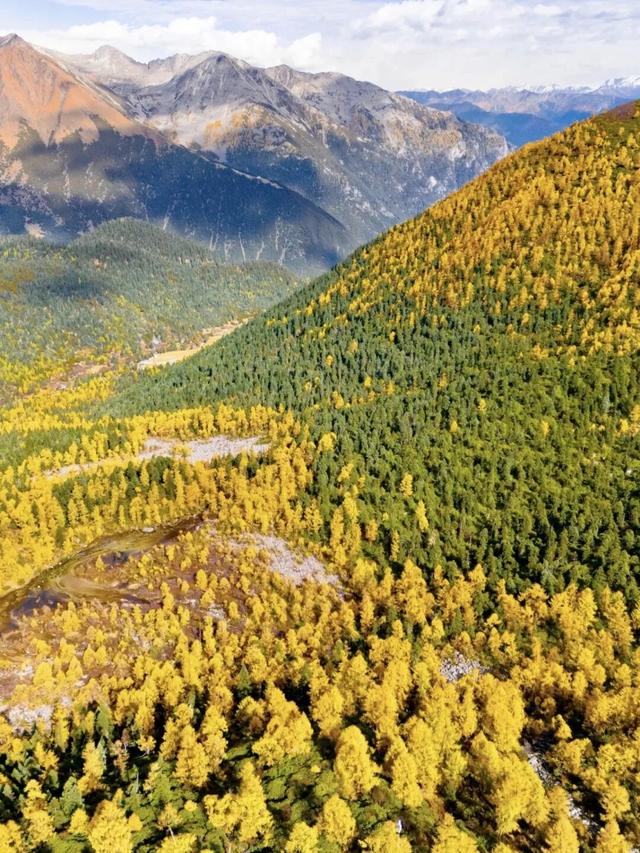 美上央视的秋景，这十条路线请你选！