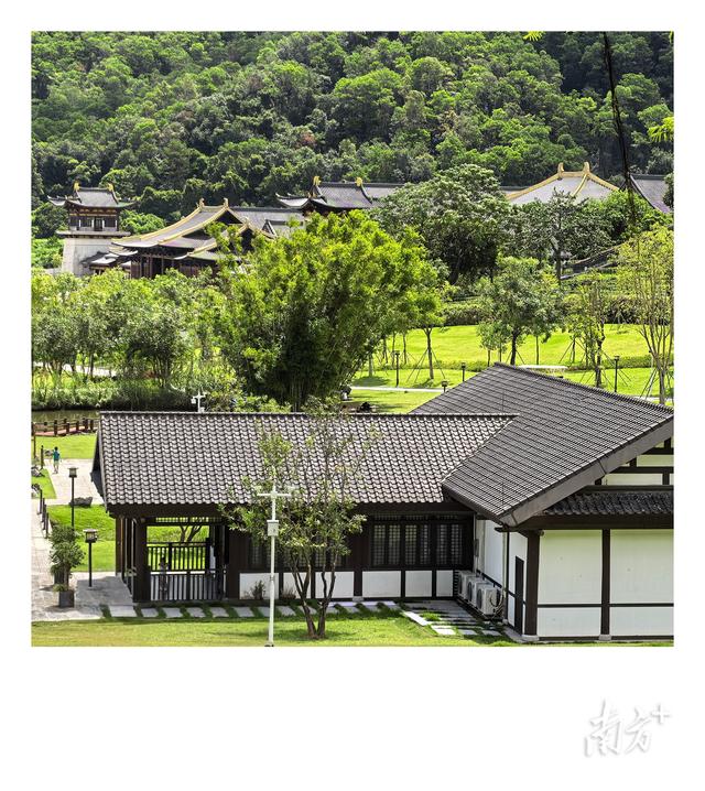 古香林·秋韵