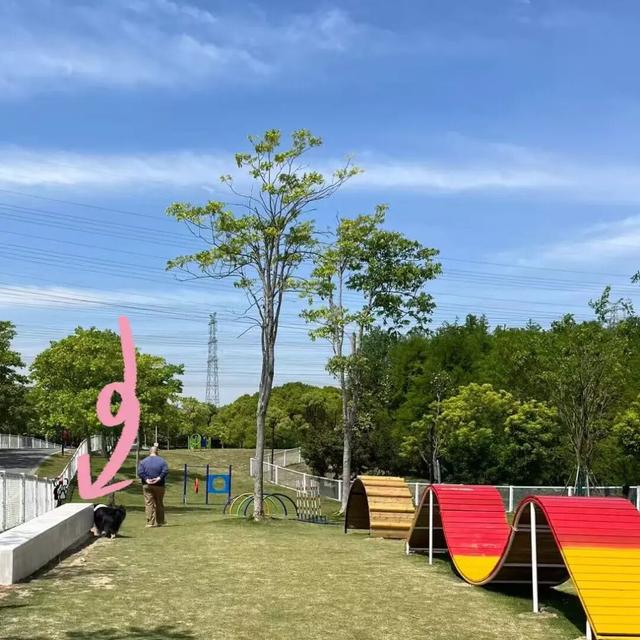 3000㎡！属于萌宠的gogoland帮你找到了！