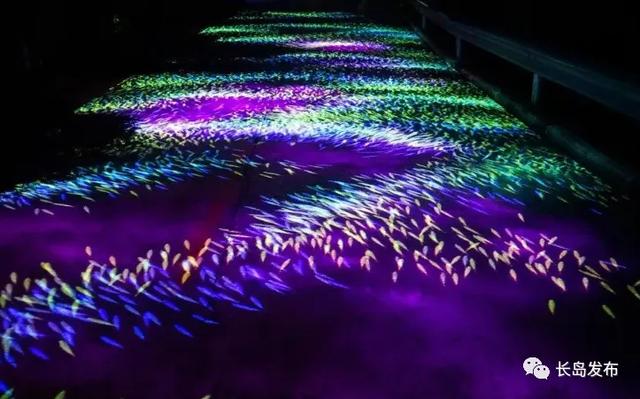 星落入海,夜宴仙境:长岛夏夜幻境与舌尖上的海潮交响