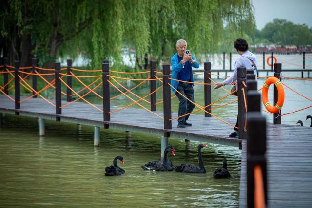 速冲，1张年卡畅游台儿庄，解锁十大权益！