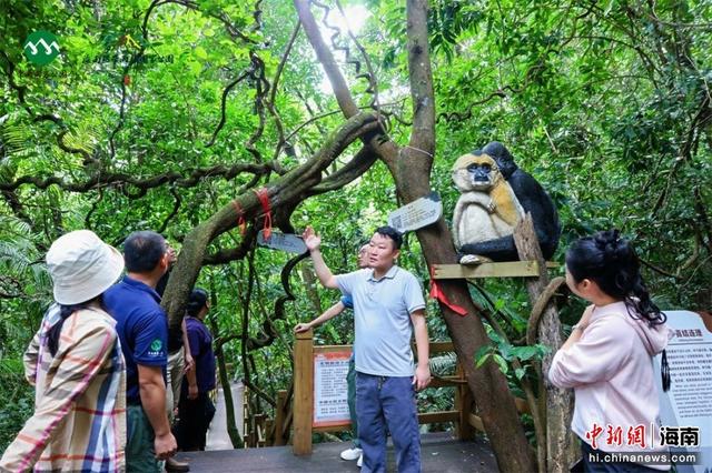 “亲近雨林·探秘雨林”保护宣传周启幕