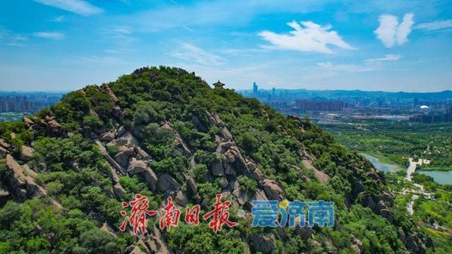 暑气未消立秋至  华山湖绿意盎然生机无限
