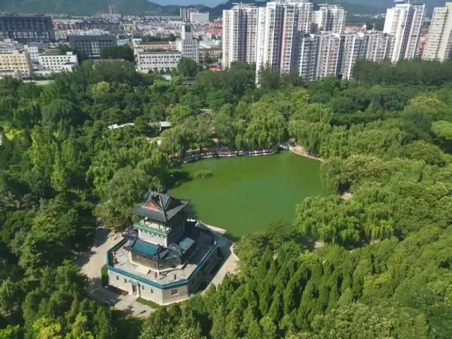一半森林一半城