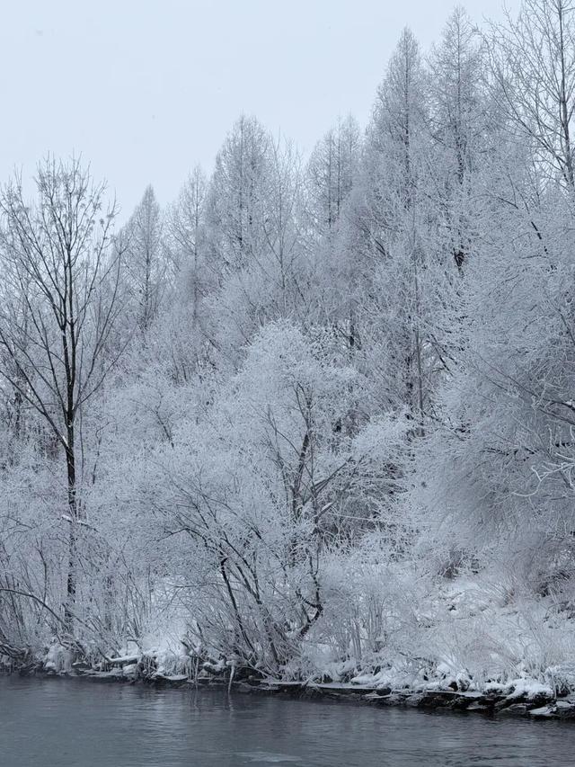 被央视聚焦9次的水色雾凇岛！绝！！