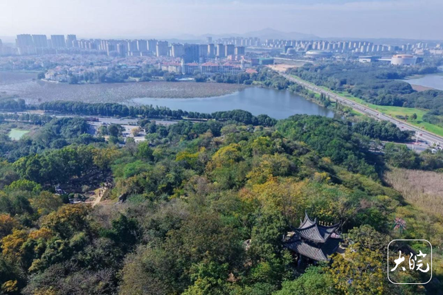 2025池州“九日齐山登高”重阳季活动启幕 近千人参与