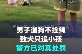 惹众怒！上海一男子遛狗不拴绳，还反问“为何不把小孩拴起来”，警方出手图片
