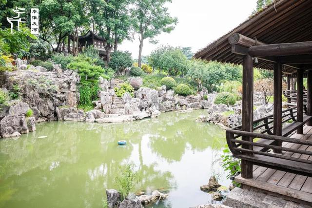 秦淮citywalk｜夏日寻凉之愚园
