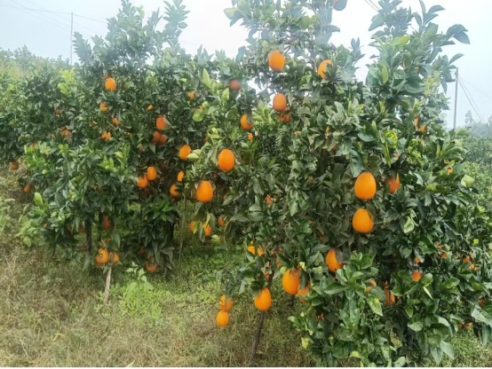 永川“留娃”去处上新→