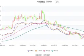 中粮糖业：2024年上半年净利润同比增长12.22% 拟10派2元图片