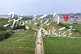 马龙区“五一”假日游玩优惠活动已上线图片