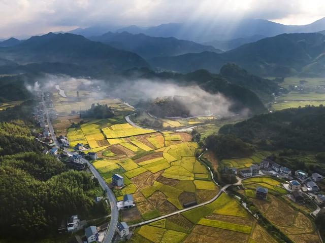 三湘“丰”景线：从云雾梯田到动车稻浪