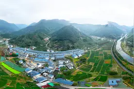 幸福福鼎·多彩乡村｜缪华：赤溪的蝶变图片