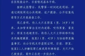 西安4岁男童被恶犬咬伤事件，有新进展图片