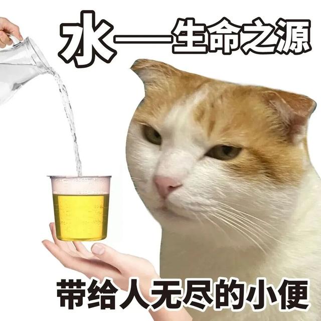 为什么建议女生尿尿别用力？