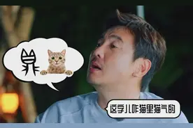 感受中华汉字之美：你知道自己的姓用甲骨文怎么写吗？图片