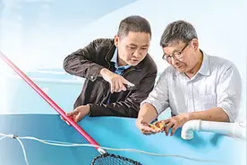 40余年技术攻关！这个福建人，让大黄鱼重回百姓餐桌图片