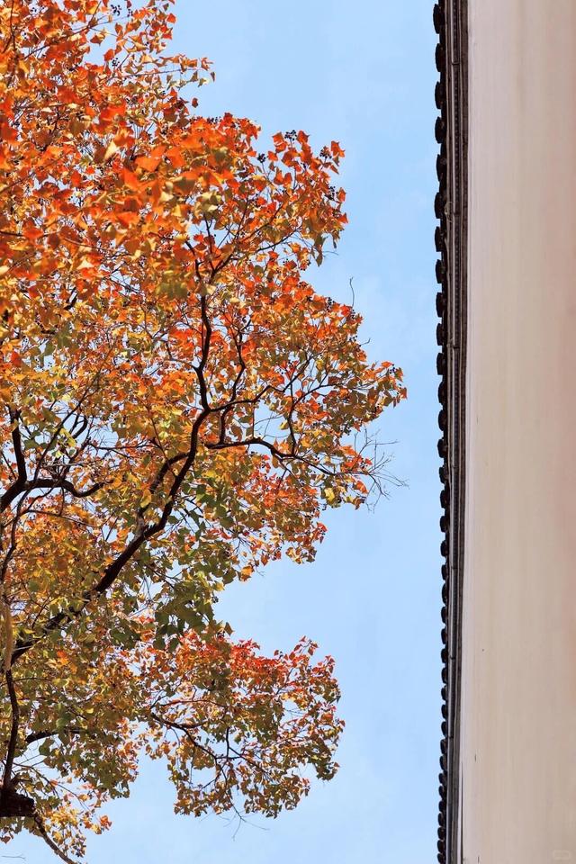 当代人需要的情绪价值，镇江给你！