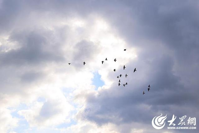 四季予你｜烟台莱山“积木桥”惊艳亮相：童趣与科技交融，打造滨海新地标