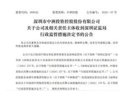因信息披露不规范等问题，中洲控股收深交所监管函图片