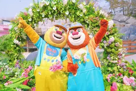 泰山区清明假日文旅活动欢乐来袭图片