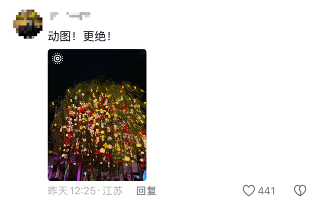 门东新“顶流”！一棵美到让全南京排队围观的树！