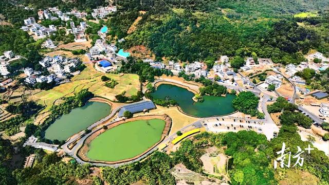 报名！徒步迎省运，茂名12月20日开走