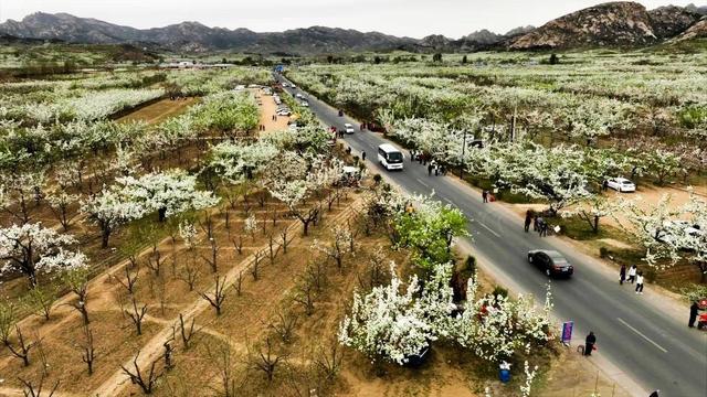 辽宁将打造2400公里11条主题旅游公路