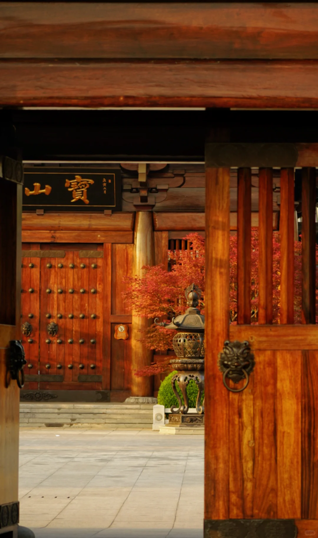 枫叶红了！上海这座古建筑，竟然能一秒穿越回大唐→