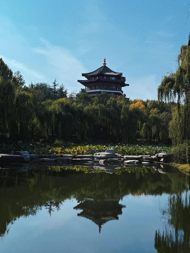 记者实拍！肥城五彩斑斓的景色，每一帧都是写给秋日的情书~