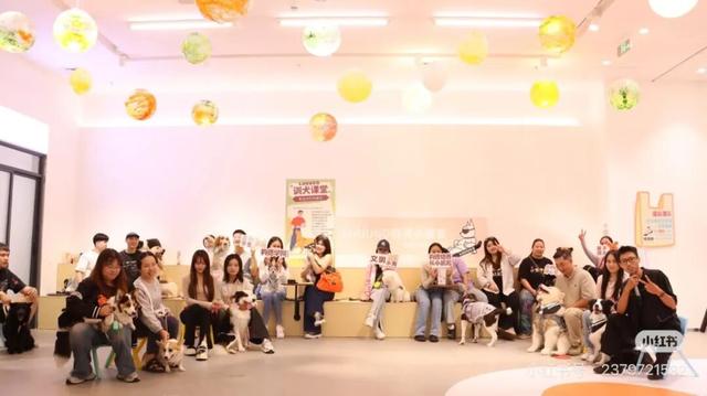 国庆游翔安丨卡皮巴拉、羊驼…与萌宠为伴，嗨翻假期