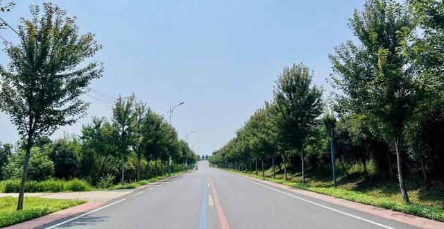 新洲：“景”上添花，勾勒生态新城