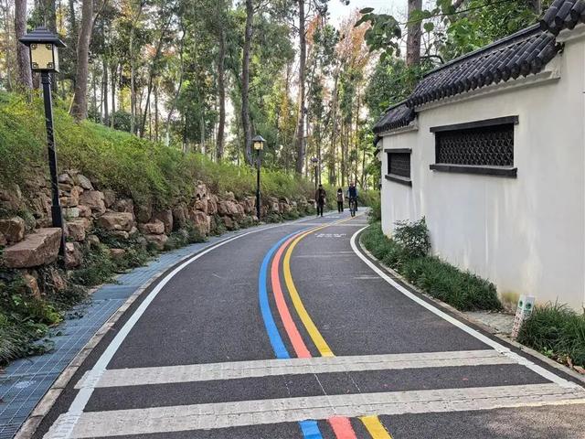 武汉东湖绿道又“上新”！7.5公里山体游步道建成