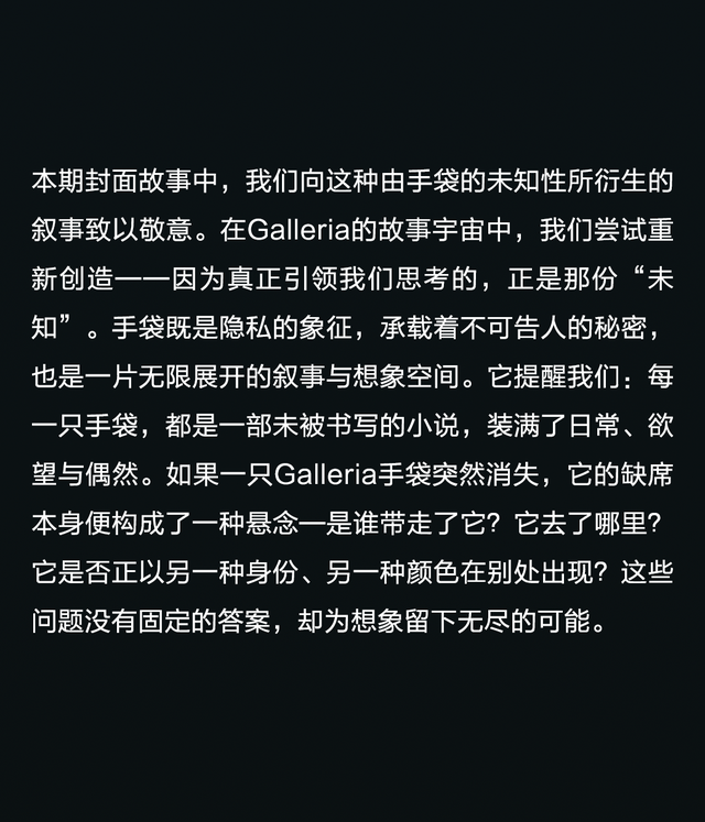 那只叫做Galleria的包，不见了……