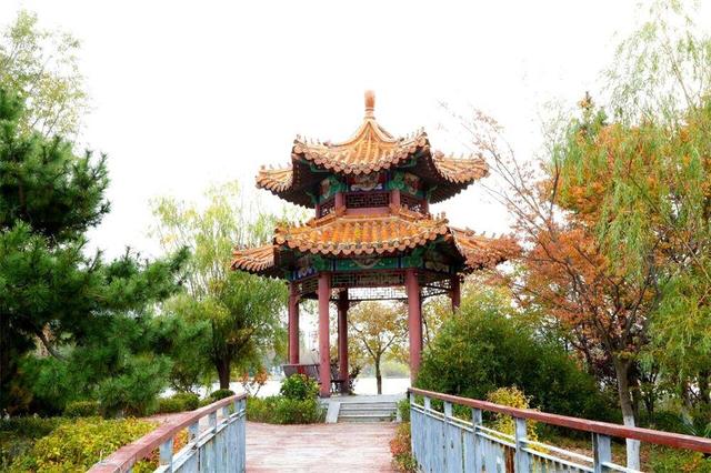 秋韵未央！来威海临港区，邂逅五彩斑斓的美！