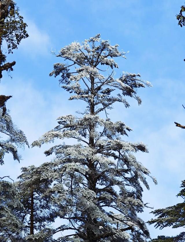 秋假封神目的地！瓦屋山飘雪啦！美到不想回家~