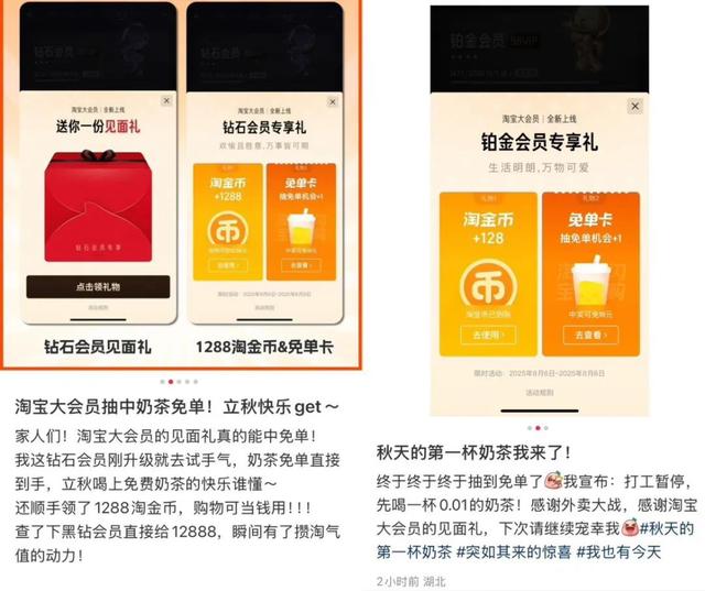 淘宝大会员体系上线,大消费平台「关键拼图」就位