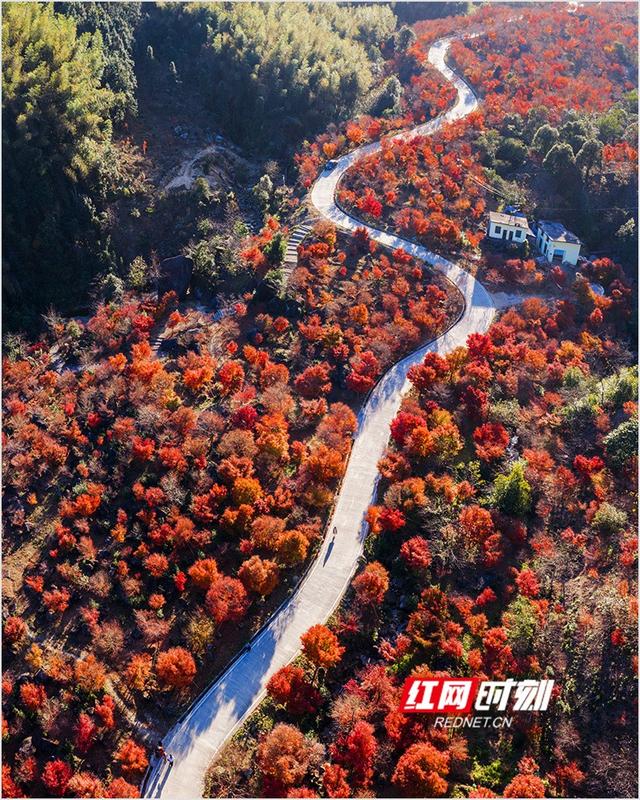 潘华摄影作品：漫步永州蓝山谷 邂逅湘江源头的层林尽染