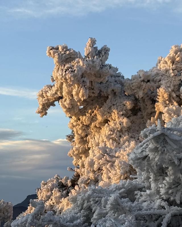去临安太子尖看云海雾凇，出发前先查查“临安旅游天气通”小程序