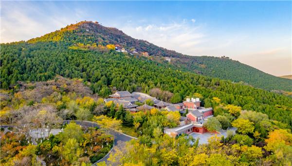 拾趣历下 暖意燃冬丨泉畔拾光 邂逅历下冬日浪漫诗章