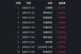 汇金出手买入ETF，芯源微涨超5%，科创100ETF（588190）翻红丨ETF观察图片
