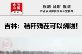 吉林：秸秆残茬可以烧啦！图片