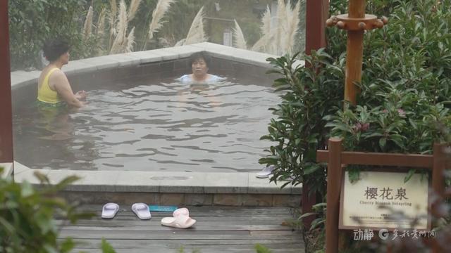 打造“温泉+”融合场景 丰富游客冬季旅游体验