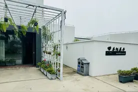 松江这里新添一家艺术工坊，钻研非遗手艺，“花式”促进农民增收图片
