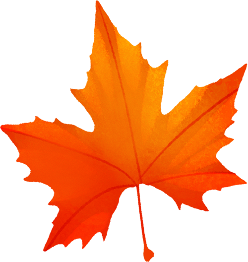 "我还要再来！"这个项目，98%的人去了都不想回家