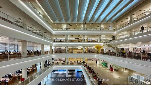 ​别再说深圳是文化沙漠！这份双馆暴走攻略，让你重新认识这座城市