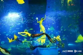 萌宠也有踏青运动会！正佳雨林生态植物园“龟兔赛跑”开启图片