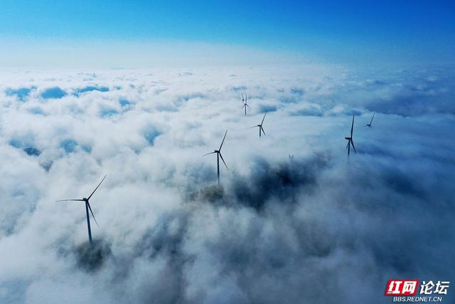 【每日一图@湖南】雾凇挂枝，流云绕风车！桂东万洋山冬景如画